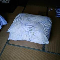 羽毛布団？の画像