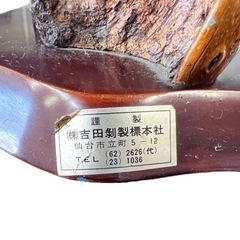 NO.763 《お値下げ中!!》剥製 置物 オブジェ キジの画像