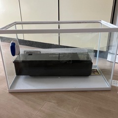 お魚飼育セット