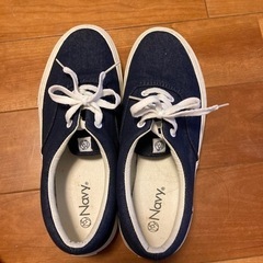 24センチ