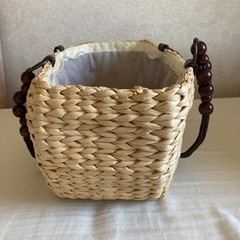 ペットキャリー　美品の画像