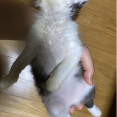ありがとうございました🩵決まりました