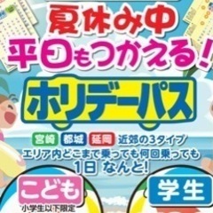 宮崎交通ホリデーパス(延岡)2枚　夏休み中★学生平日OKの画像
