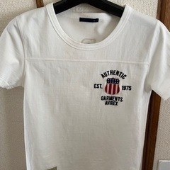 値下AVIREX ビッグロゴ刺繍  Tシャツ アヴィレックス グレーの画像