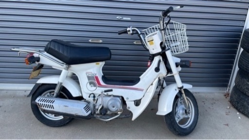 7.31本日限定‼️角目のシャリー50 ‼️