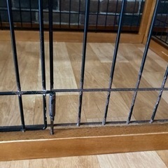 犬　ゲージの画像