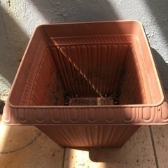 受け渡し完了。0円です。植物、プランターなどの画像