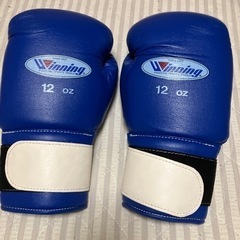 アマチュアボクシング練習用グローブ2個セットの画像