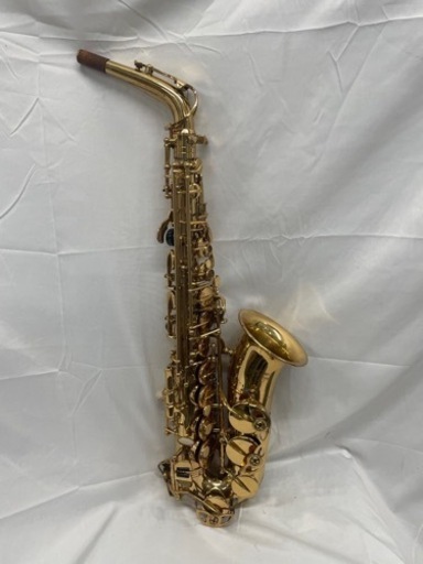 【‼️✨アルトサックス✨‼️】J.Michael  ジェイマイケル