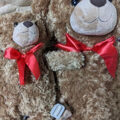 【値下げ】【未使用】トイザらス　くま　クマ　熊　ぬいぐるみ　リュ...