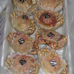 冷凍ボイル毛ガニ早いもの勝ち50杯まで！！　1杯1500円重量5...