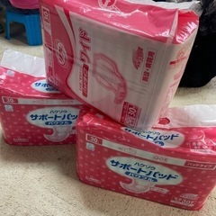 大人用紙おむつ(パッドタイプ)新品男女兼用