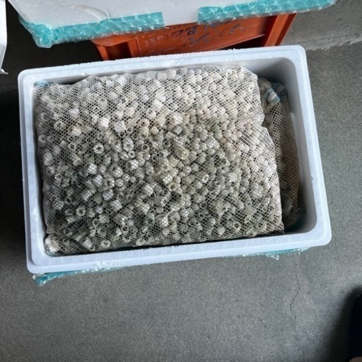 水槽、濾過槽、熱帯魚、濾過材中古