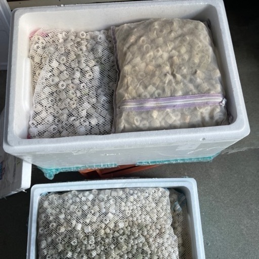 水槽、濾過槽、熱帯魚、濾過材中古