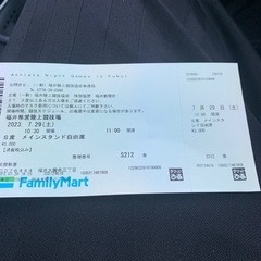 A thlete Night Games in Fukui 