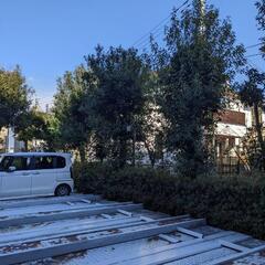 樫の原木、薪などにどうぞの画像