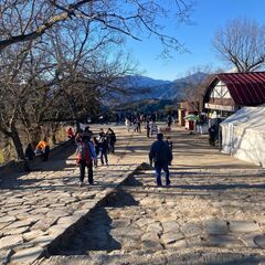 午前中登山仲間募集【高尾山】 - 調布市