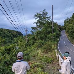 外来植物駆除活動