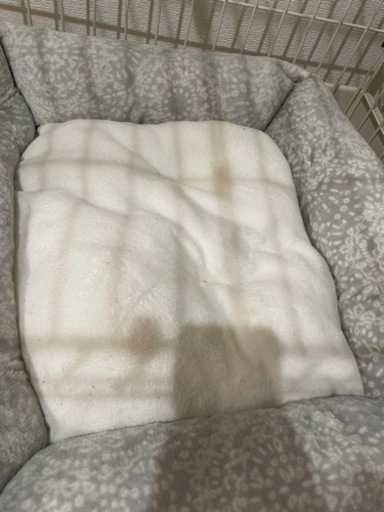 小型犬　ペット用品　一式　ペットリュック