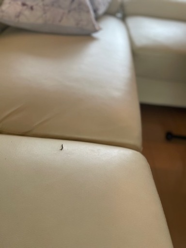 【テーブルソファーセット　クッション付き】
