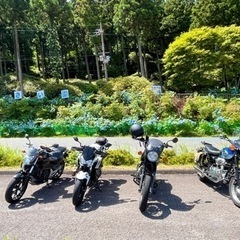 【平日】ゆる〜い近場のツーリングメンバー募集