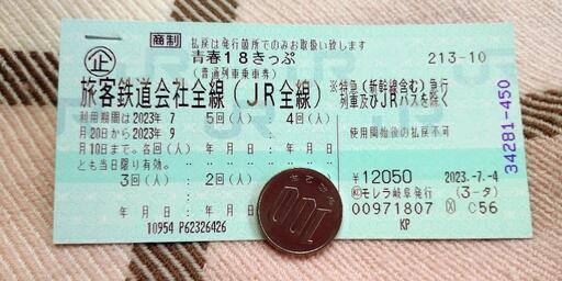 【決まりました】4回分✨お出かけされる方に