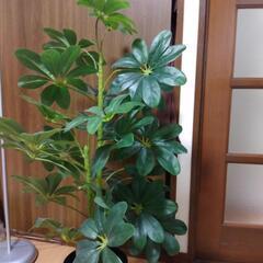 造花