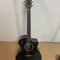Taylor 214ce DLX BLK ES2