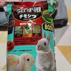 チモシーファーストクラス　決まりました。