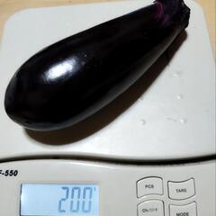 生産者直売です。茄子🍆をお譲りします。
