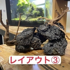 溶岩石・流木トンネル2個セット アクアリウム 水槽レイアウトの画像