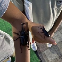 小学生以下のお子様にプレゼントの画像