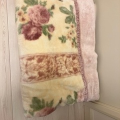 【手渡し】西川の毛布３枚セット＋おまけの毛布