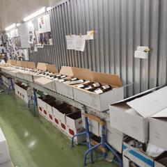 倉庫内作業Wine検品スタッフの画像