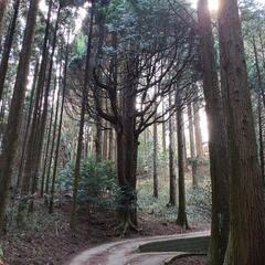 急募します
