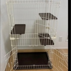 犬猫ちゃん、ハムスター、昆虫類お出かけの間預かります✨の画像