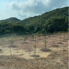 草刈りします！年末までサービス期間中です！