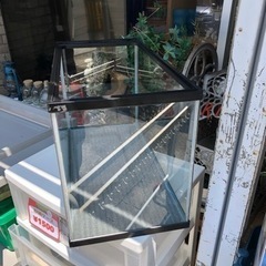 売り切れ🙏 水槽入荷しました！ 熊本リサイクルワンピースの画像