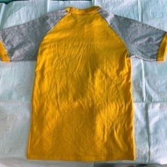 グレイトフル　デッド　ベア・アメリカ製Tシャツ　中学生〜小柄女性の画像
