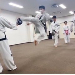 テコンドー無料体験実施中ですの画像