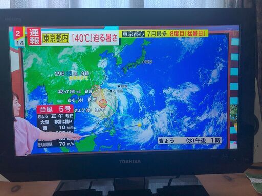 TOSHIBA LED REGZA 19V型 地上・BS・110度CSデジタルハイビジョン液晶テレビ ブラック 19A2