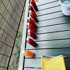 PSB光合成細菌　1Lあたり300円　気軽にご連絡ください