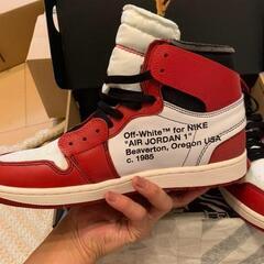 大人気 NIKE THE 10 AIR JORDAN 1 27.5cmの画像