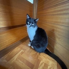 陽気なミミちゃん − 千葉県