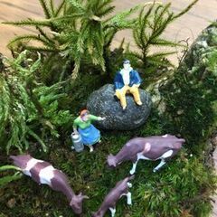 8月1日（火）　苔テラリウム教室　　こけ　コケ　植物　多肉の画像