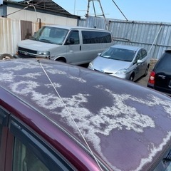 超低走行1万キロ‼️車検令和6年2月‼️総額20万円‼️ライフ‼️の画像