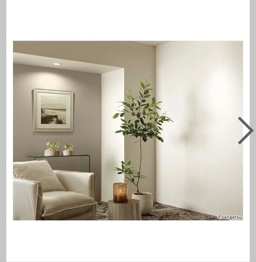 サンゲツ 壁紙 SGB-2138 50m〜