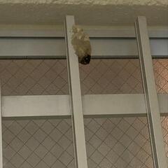 教えてください