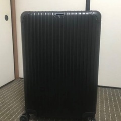 TRAVEL SENTRY