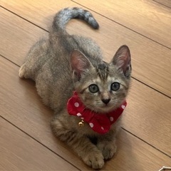 5姉妹よ〜〜♡♡♡♡♡